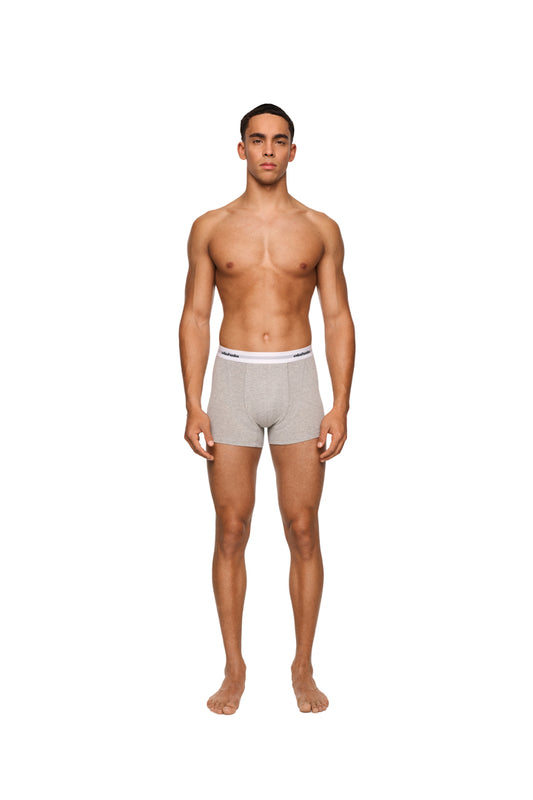 Mann trägt graue CC Boxershorts aus 3er Pack mit elastischem Bund und eingewebtem Logo, präsentiert ohne Oberbekleidung.