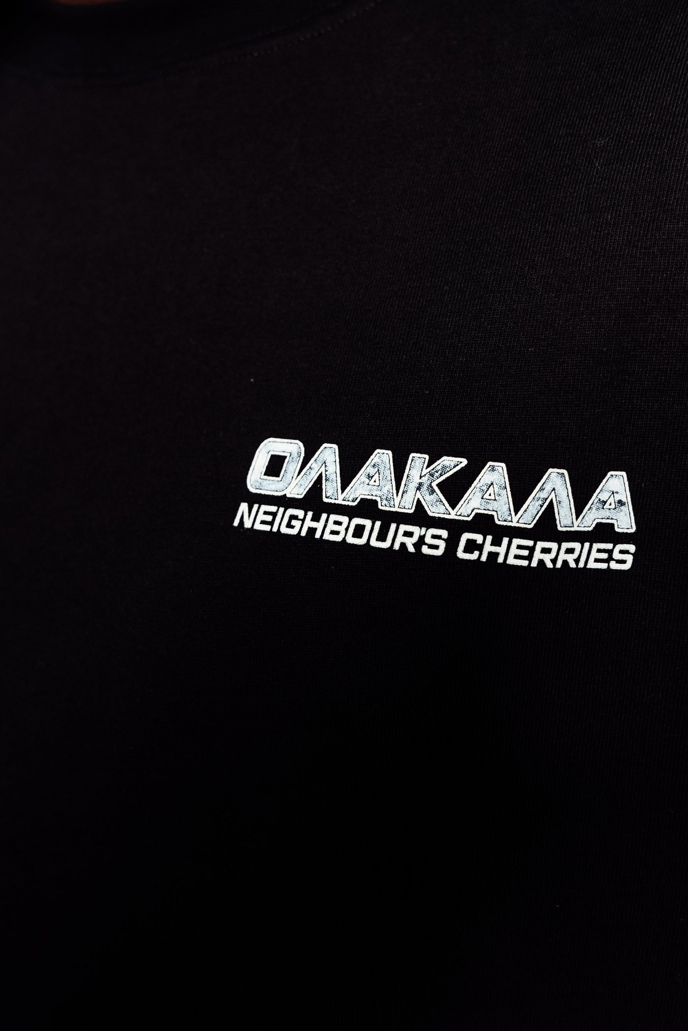 BACKPRINT ICE TEE